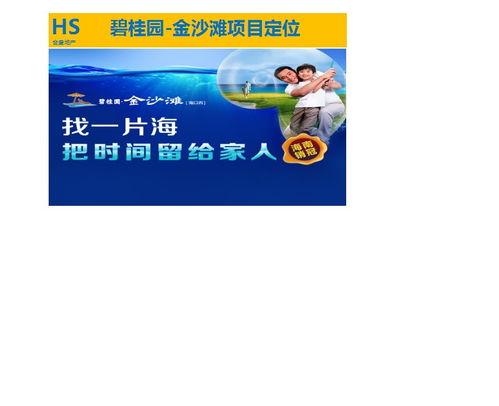 房地產營銷策劃與銷售代理 專業服務助力項目成功